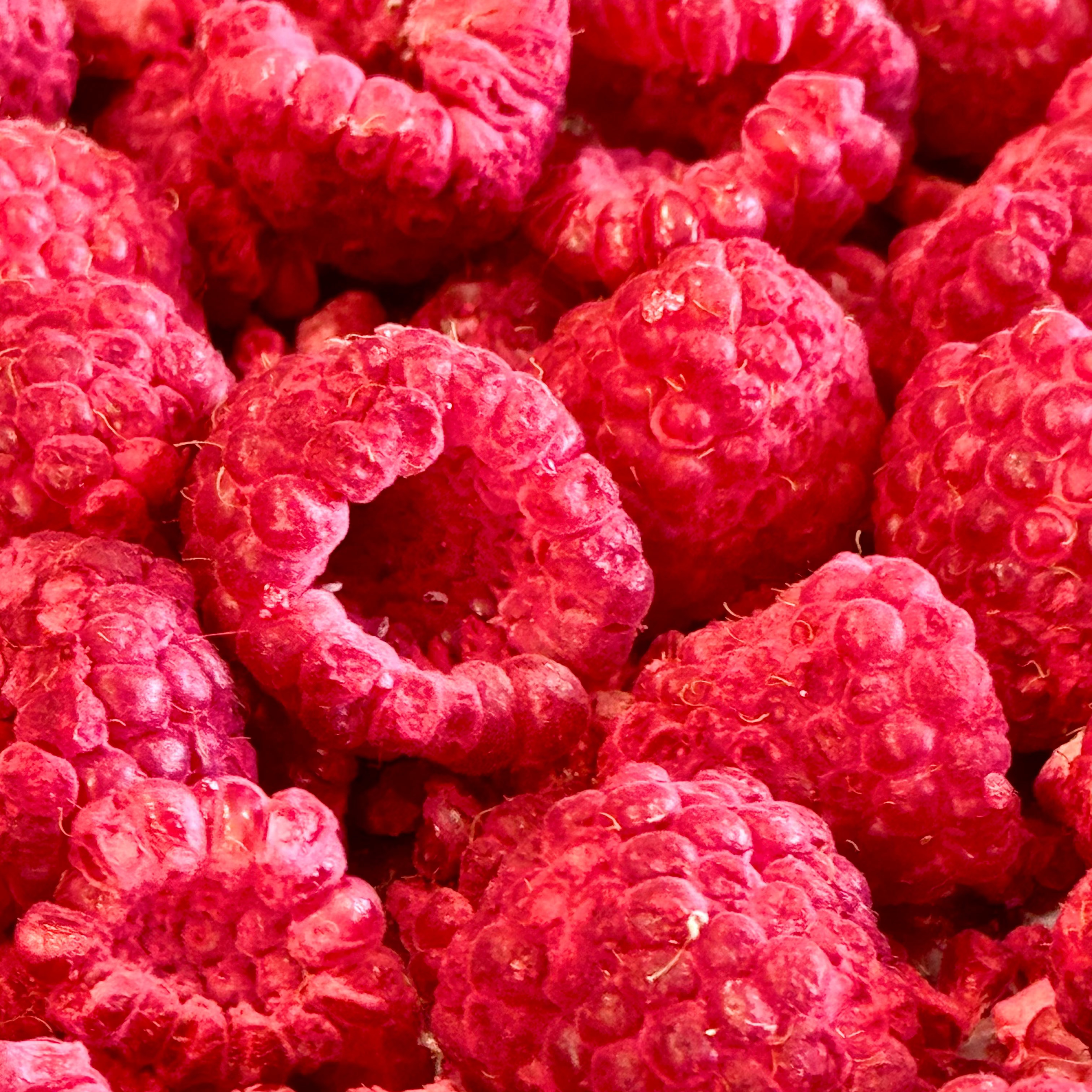 Dried Out Raspberry Freeze Dried Raspberries!! Local WA grown! – JAK'D Candy