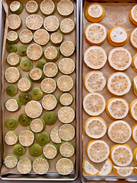 Freeze Dried Lemons and Limes